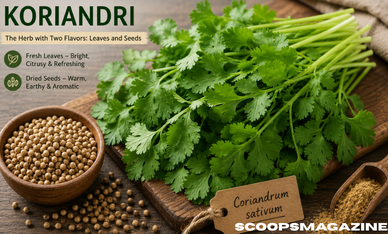 Koriandri